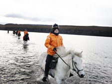 Iceland-Iceland Shorts-Horse Round Up in Iceland